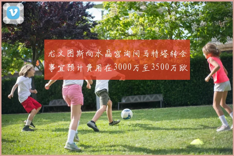 尤文图斯向水晶宫询问马特塔转会事宜预计费用在3000万至3500万欧元之间