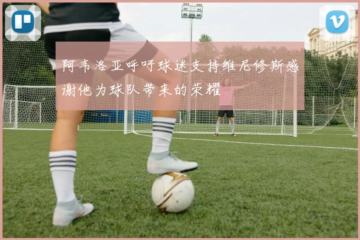 阿韦洛亚呼吁球迷支持维尼修斯感谢他为球队带来的荣耀