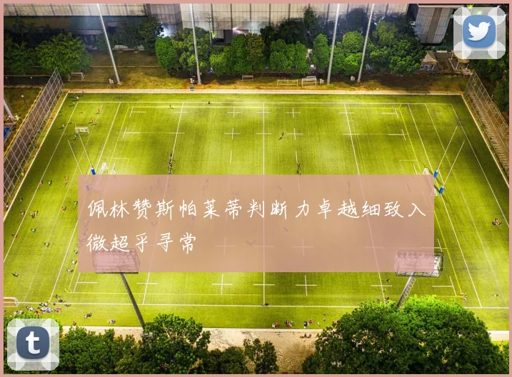 佩林赞斯帕莱蒂判断力卓越细致入微超乎寻常