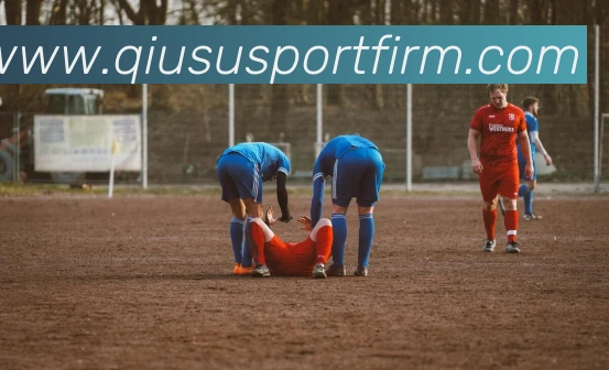 球速体育平台生态图